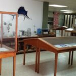 PHOTO-2026-02-09-16-36-42 5